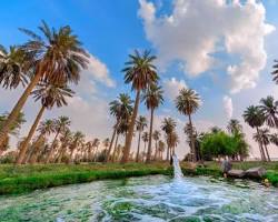 الأحساء